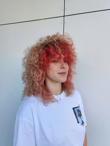 Cristi Danci